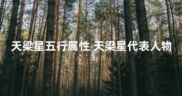 天梁星五行属性 天梁星代表人物